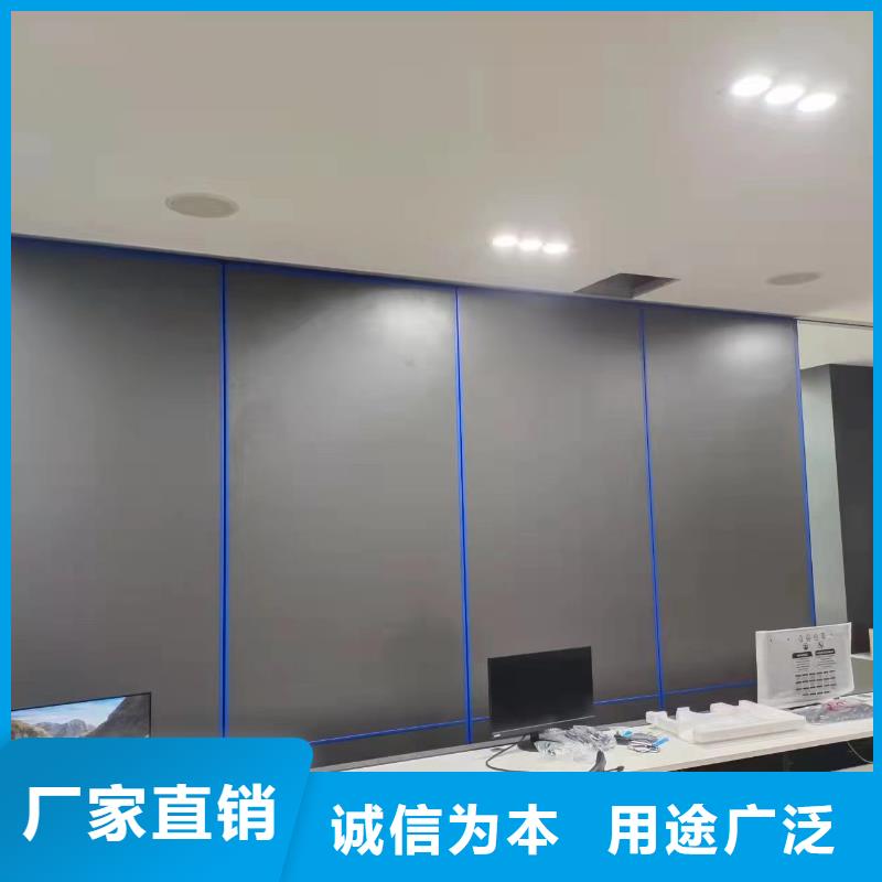 電動(dòng)隔斷電動(dòng)幽靈門(mén)專(zhuān)業(yè)廠(chǎng)家