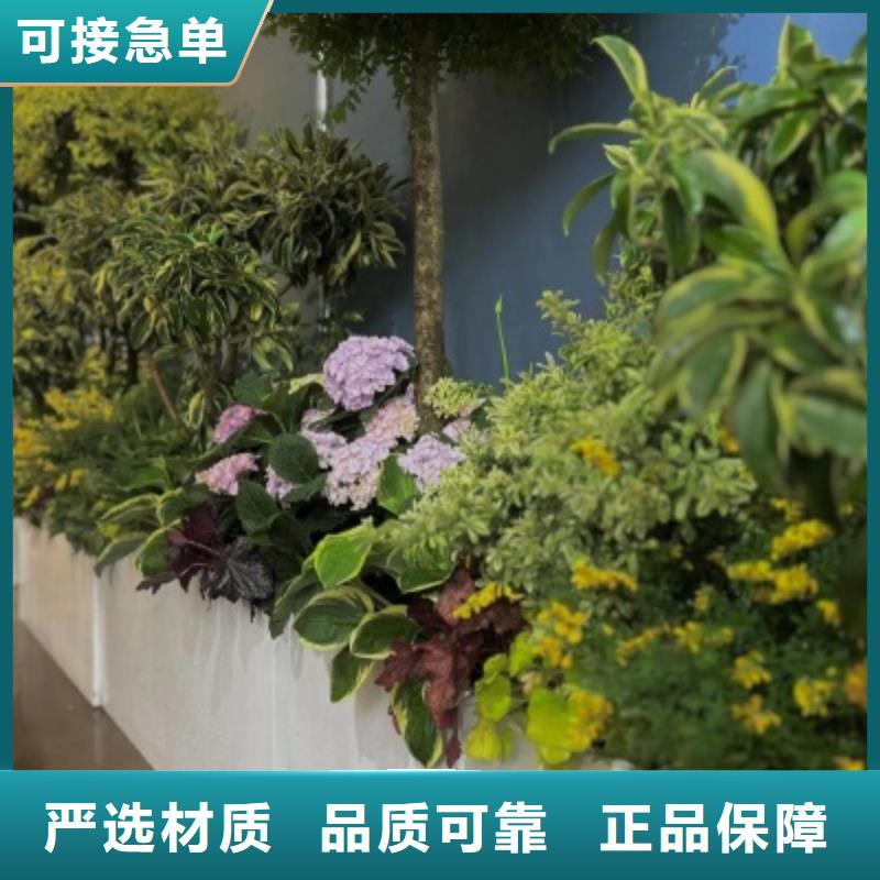 不銹鋼花箱靠譜廠家