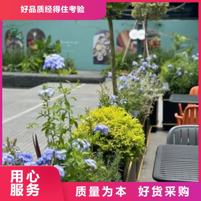 組合花箱靠譜廠家