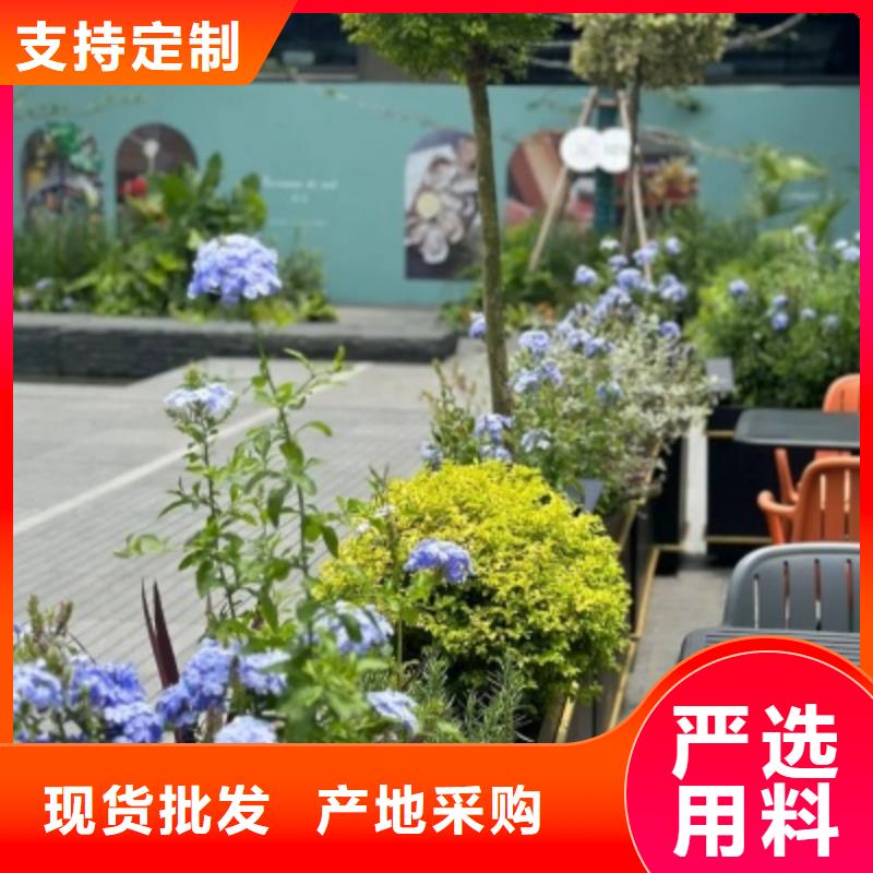 不銹鋼花箱定制