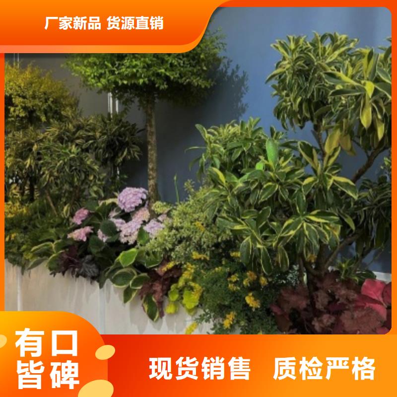 戶外花箱質(zhì)量可靠