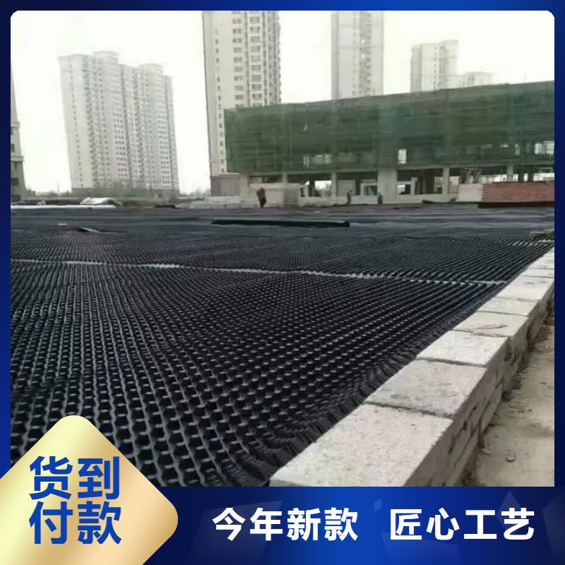 排水板,導(dǎo)水板實(shí)體廠家大量現(xiàn)貨