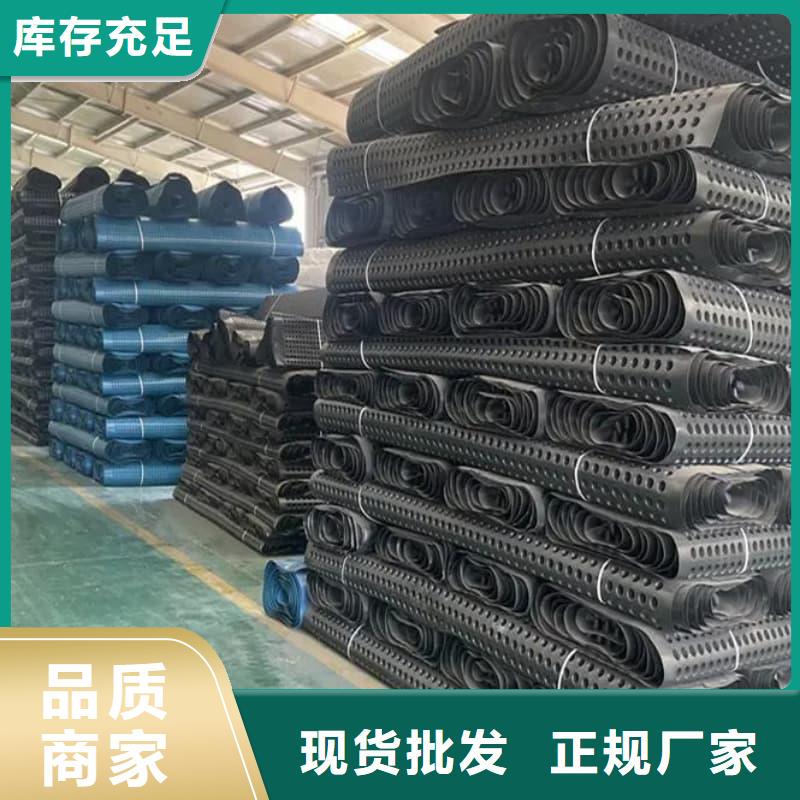 排水板20mm厚疏水板符合行業(yè)標(biāo)準(zhǔn)