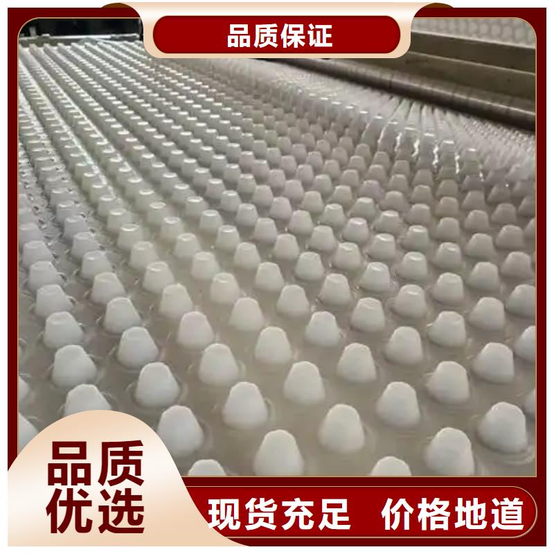 排水板20mm厚疏水板符合行業(yè)標(biāo)準(zhǔn)