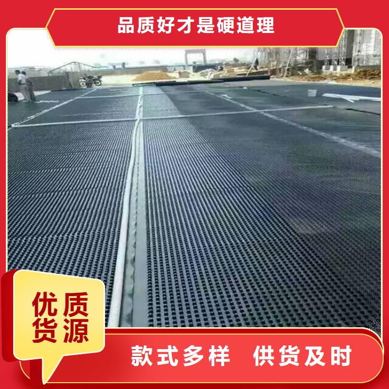 排水板20mm厚疏水板符合行業(yè)標(biāo)準(zhǔn)