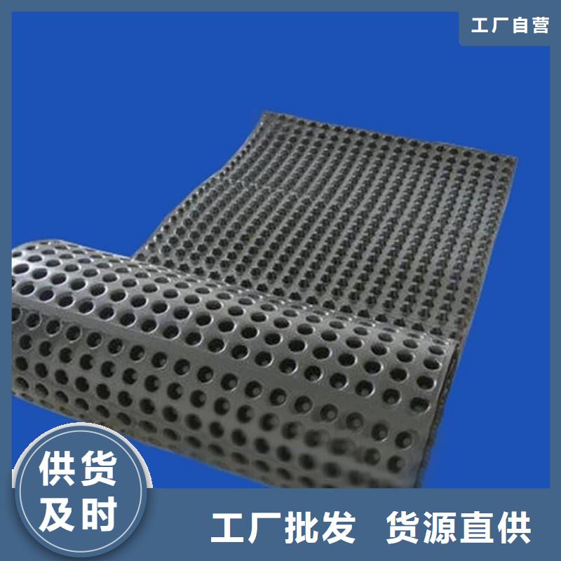 排水板20mm厚疏水板符合行業(yè)標(biāo)準(zhǔn)