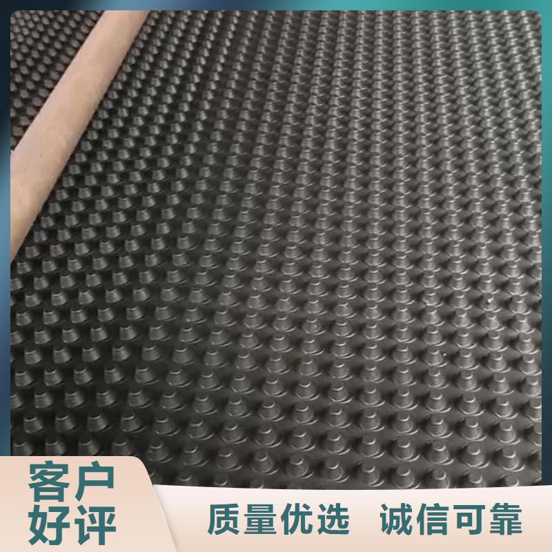 排水板20mm厚疏水板符合行業(yè)標(biāo)準(zhǔn)