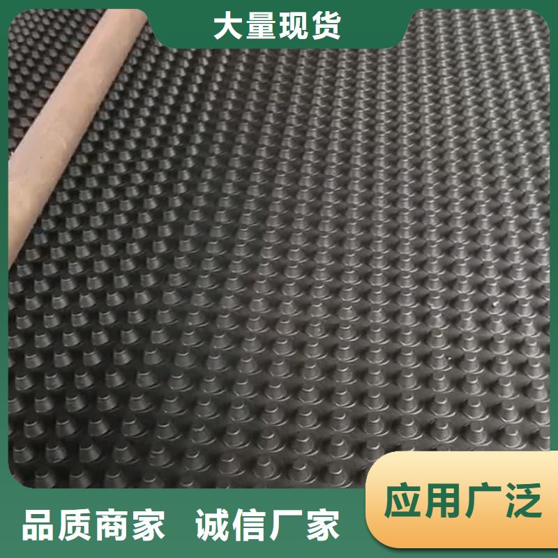 排水板,導(dǎo)水板實(shí)體廠家大量現(xiàn)貨