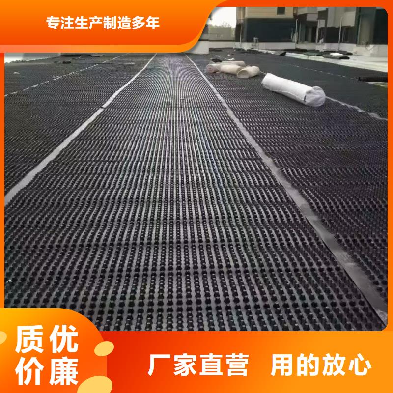 排水板,導(dǎo)水板實(shí)體廠家大量現(xiàn)貨