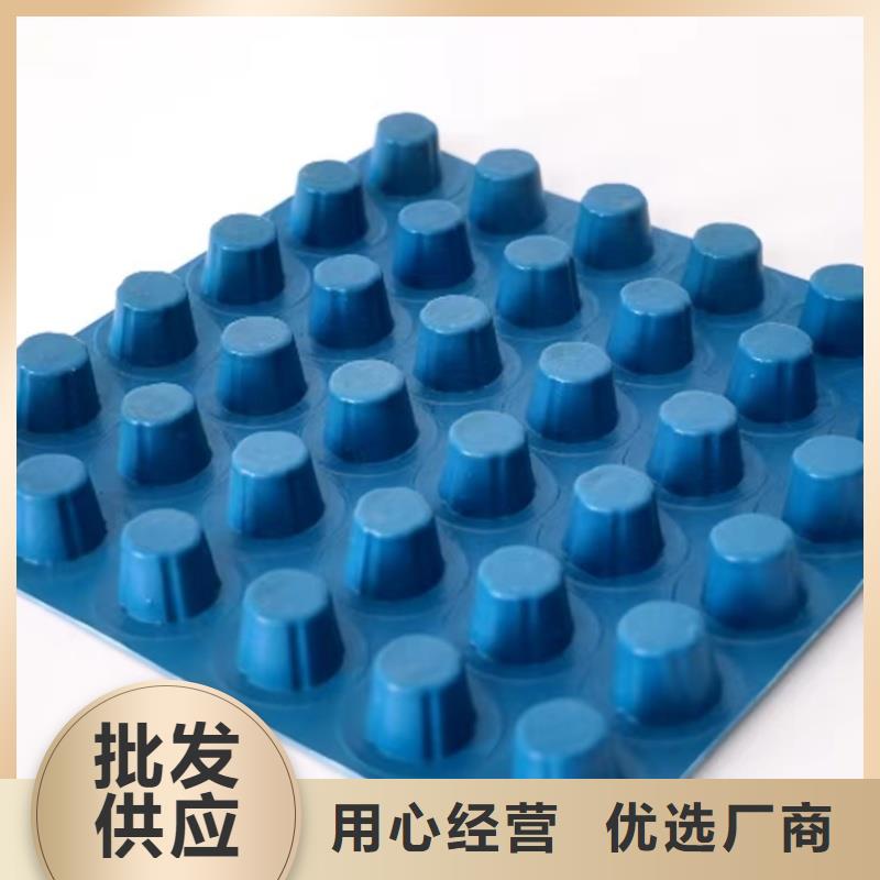 排水板,導(dǎo)水板實(shí)體廠家大量現(xiàn)貨