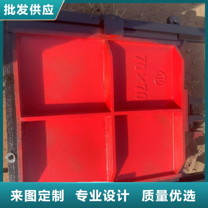 值得信賴的ZMF 鑄鐵鑲銅閘門銷售廠家