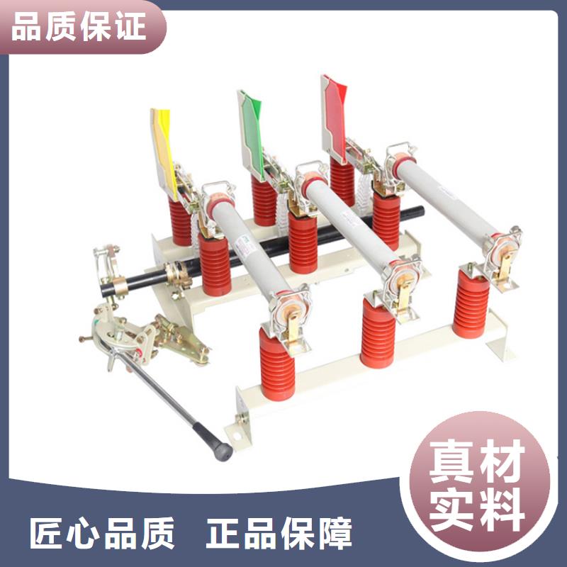 JN15-12/31.5-275接地开关