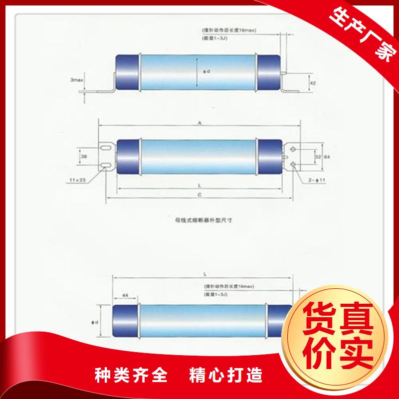 XRNT1-40.5/25A熔断器