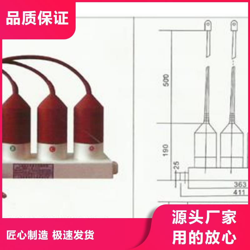 【计数器氧化锌避雷器追求细节品质】