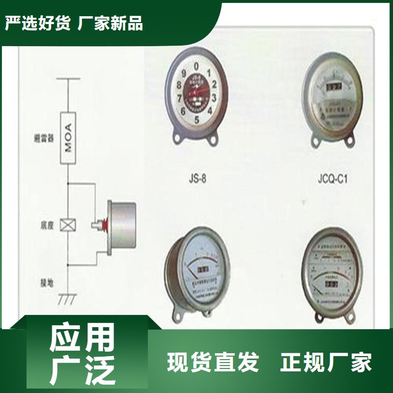 JSM-10/800A放电计数器图片