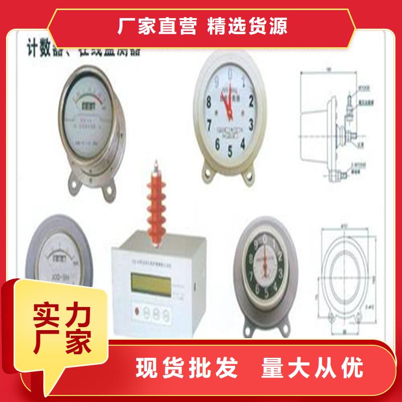 JS-8A避雷器计数器