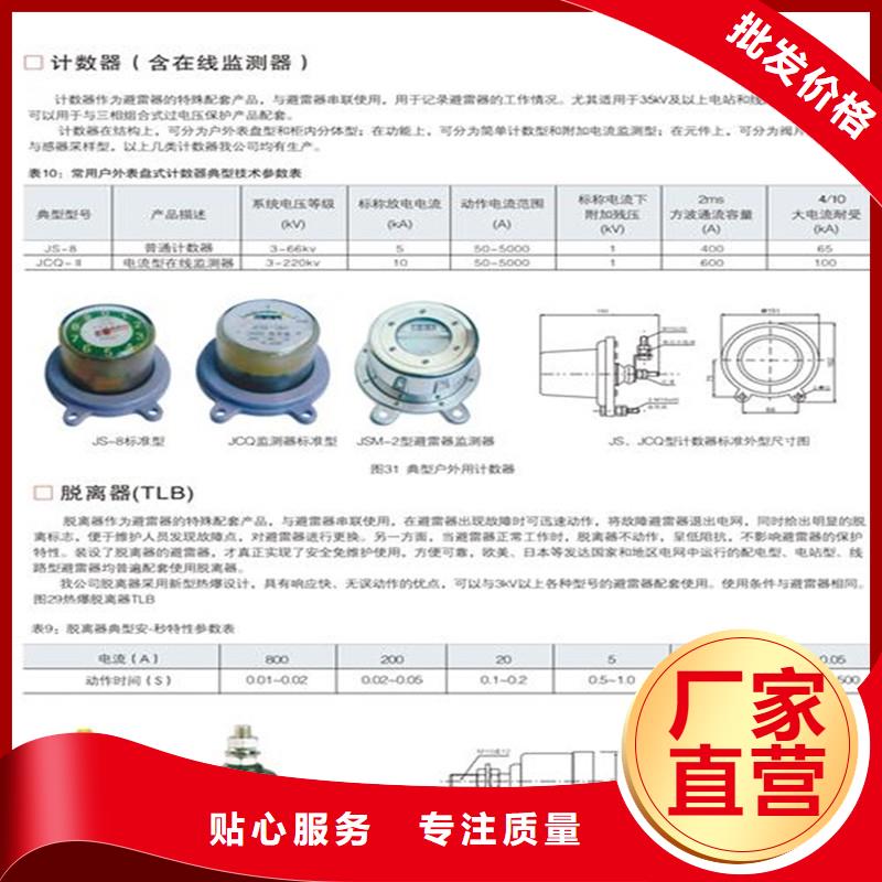 JSY-85襄樊避雷器放电计数器