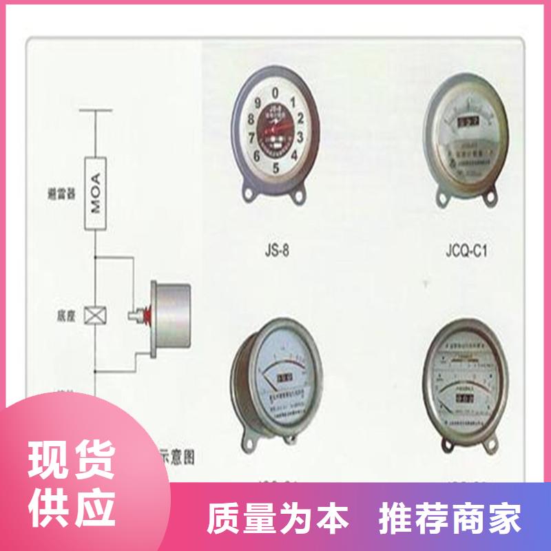 JSY-10/800避雷器计数器