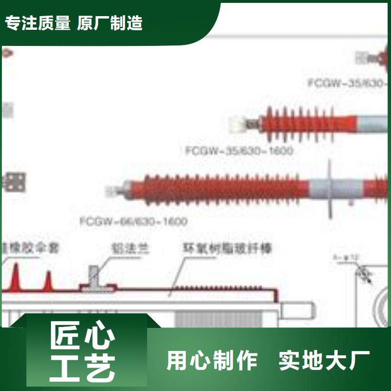 穿墙套管氧化锌避雷器放心购