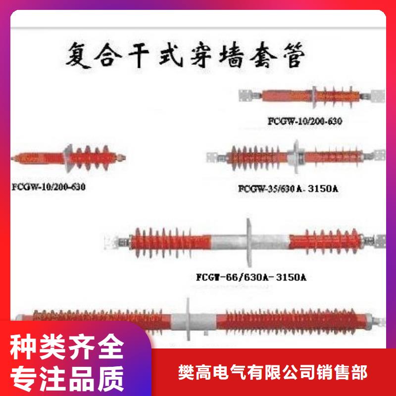 CWWB-10/2000A高压陶瓷穿墙套管