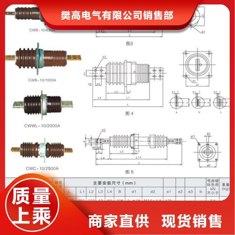 CWW-10/1000高压穿墙套管