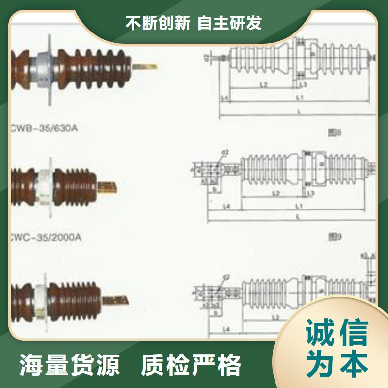 FCWW-12/400高压穿墙套管厂家