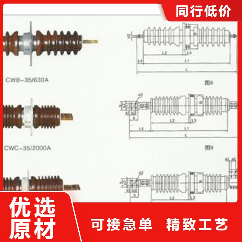 CWWC-10/630A穿墙套管