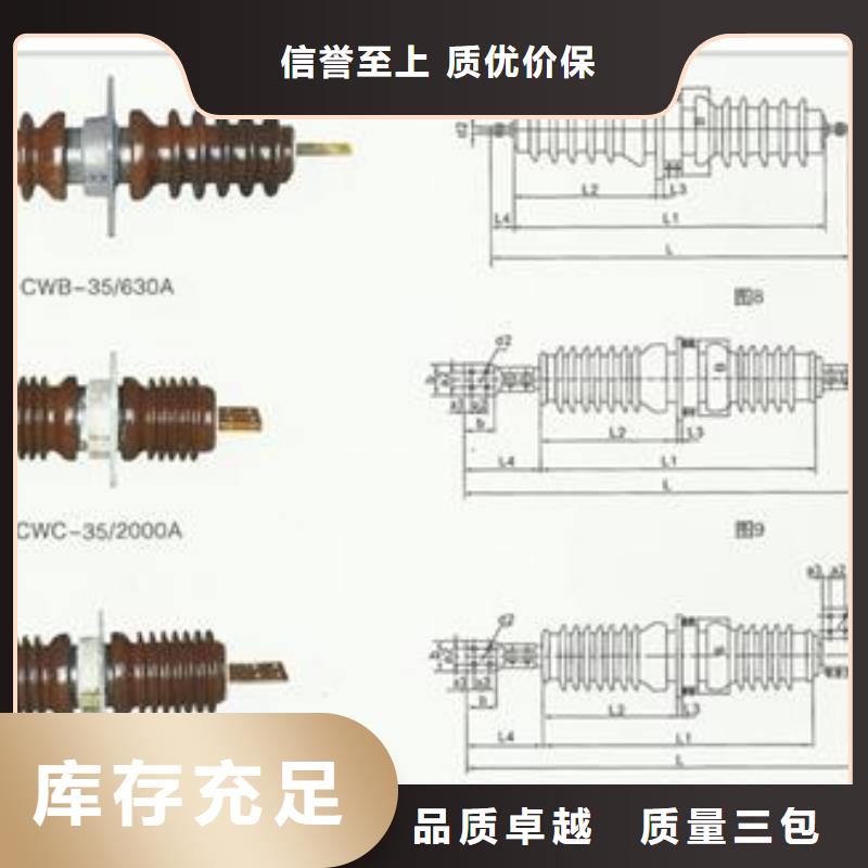 CWC-20/1250高压套管