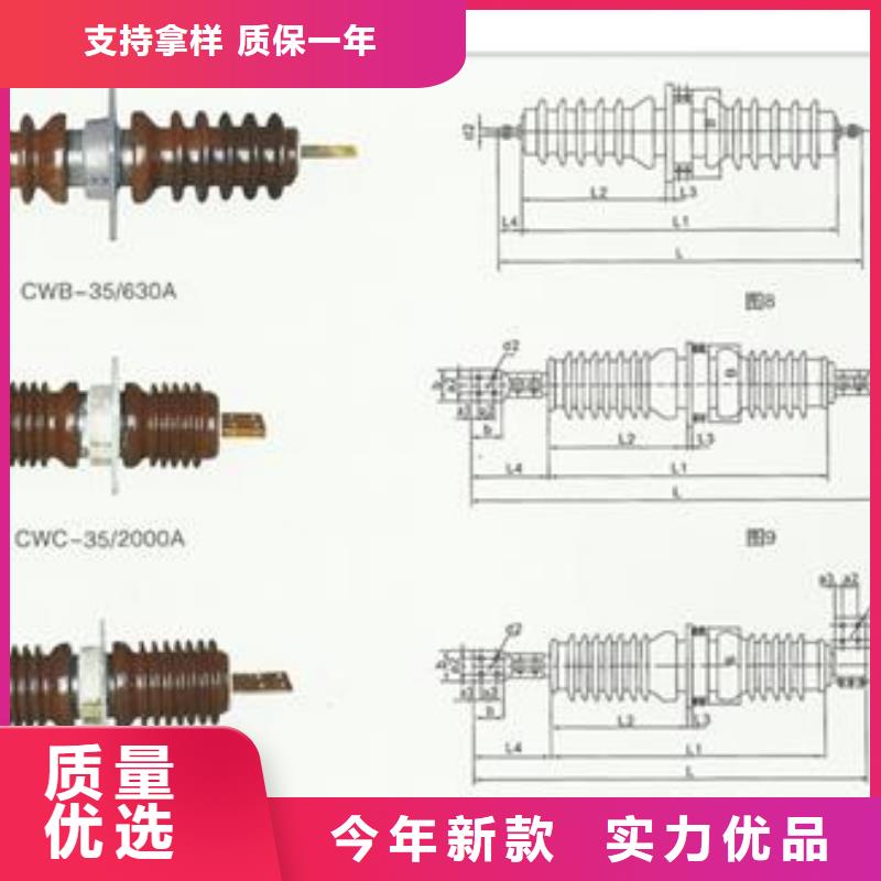 CWWC-40.5/630高压穿墙套管