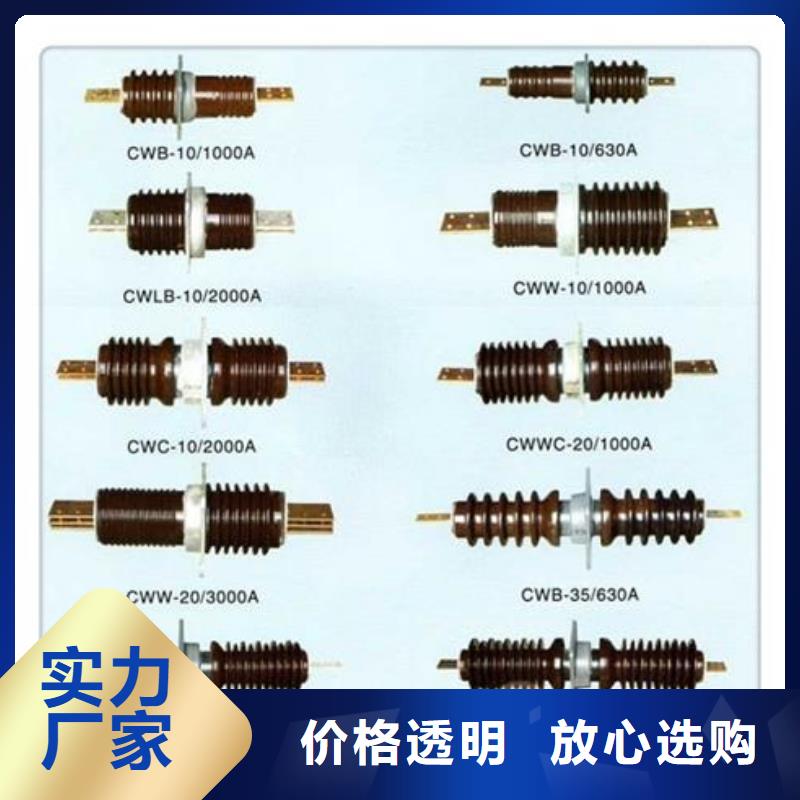 高压套管CB-10/1000A材质