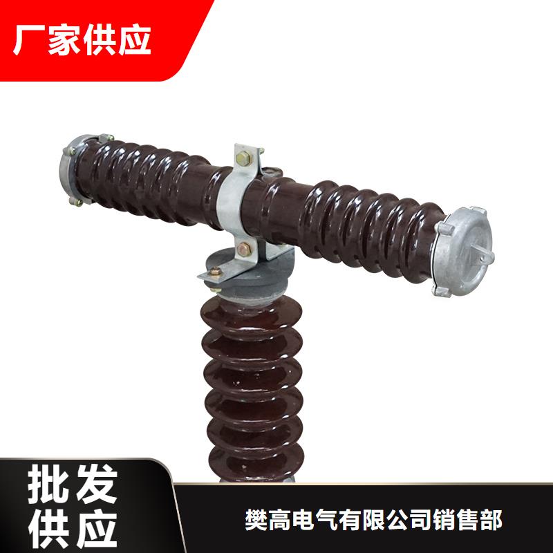 RXWO-35/2A高压限流熔断器