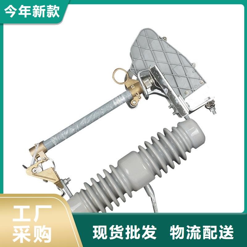 RNK-6/63A高压限流熔断器