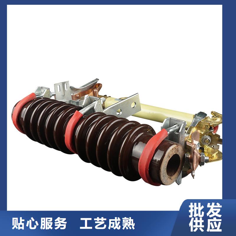 PRWG1-10F户外跌落式熔断器