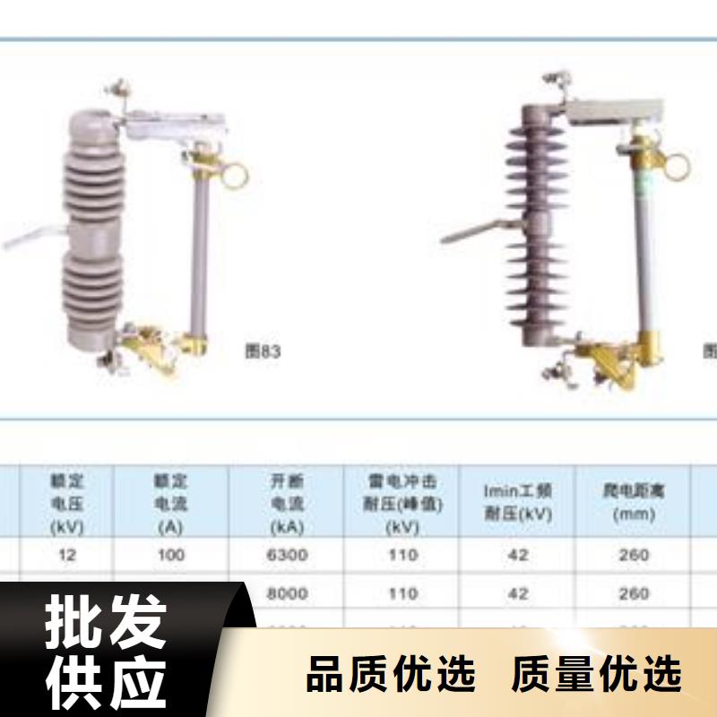 PRW12-12/100A高压跌落保险尺寸