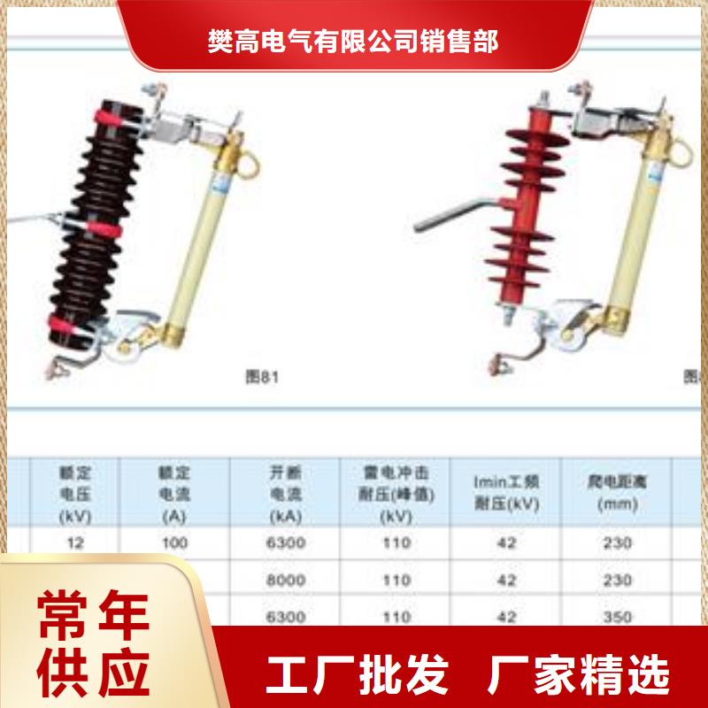 RN3-6/300户内高压限流熔断器