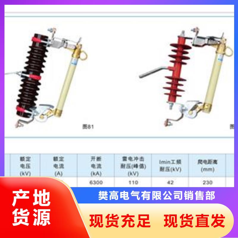 XRNP-40.5/0.2A高压限流熔断器