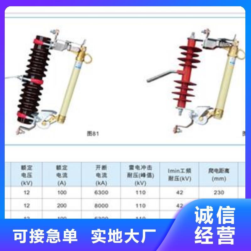 XRNP-12KV/0.2A高压限流熔断器价格