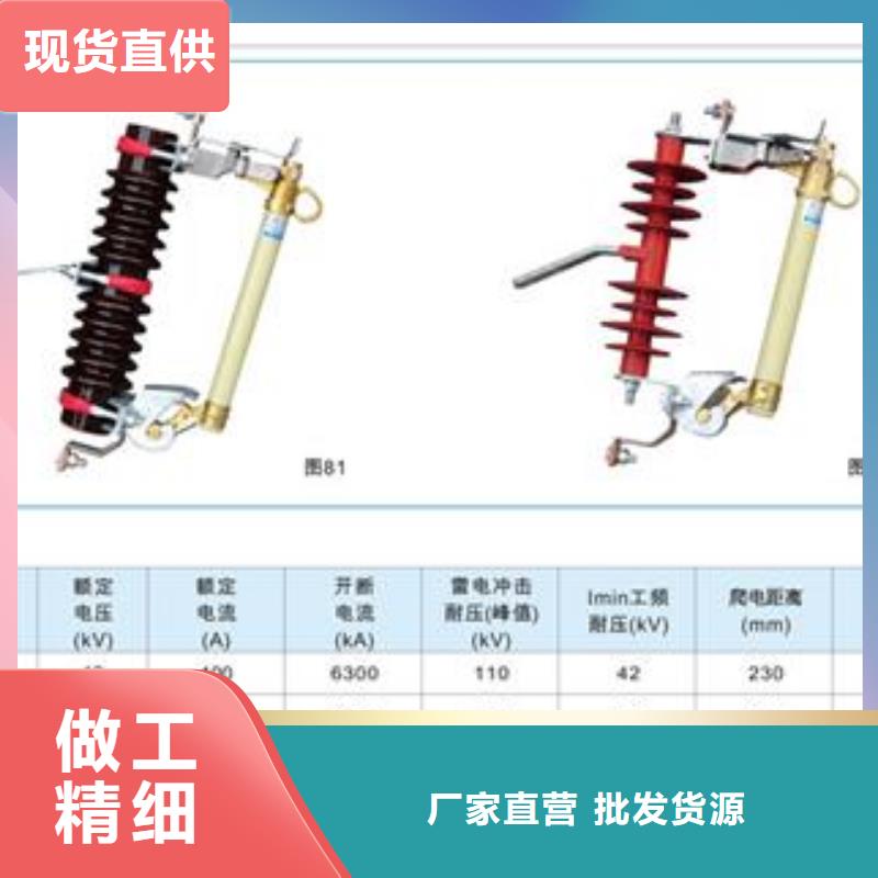 XRNT-24/125A高压限流熔断器