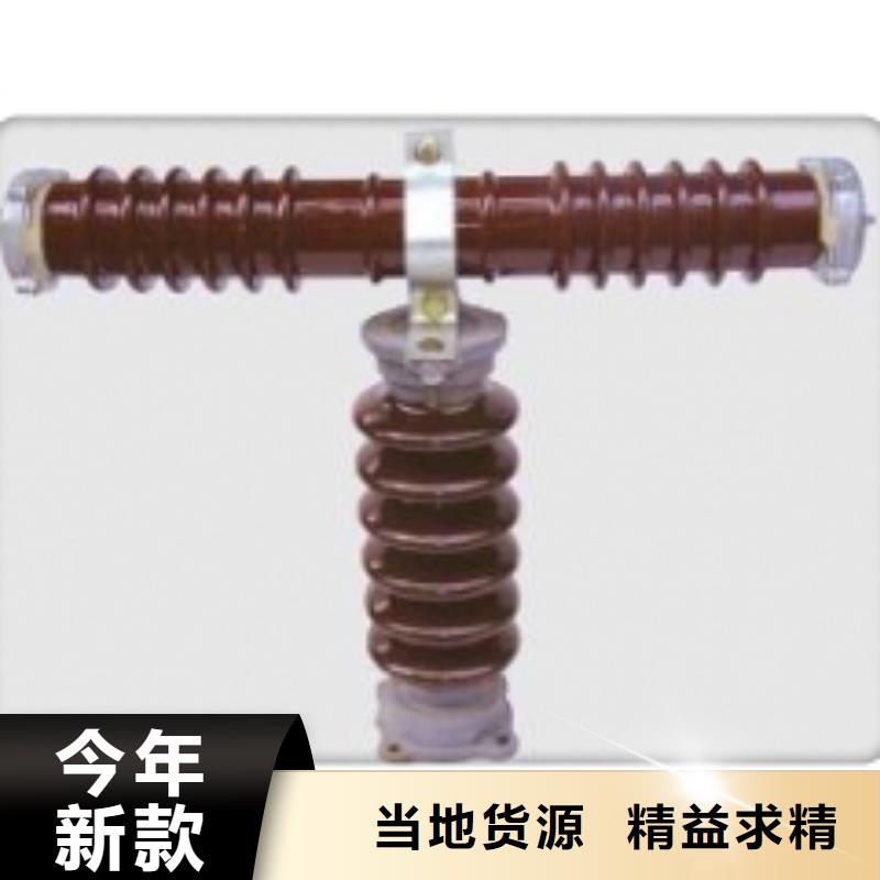 RW12-11/200户外跌落式熔断器