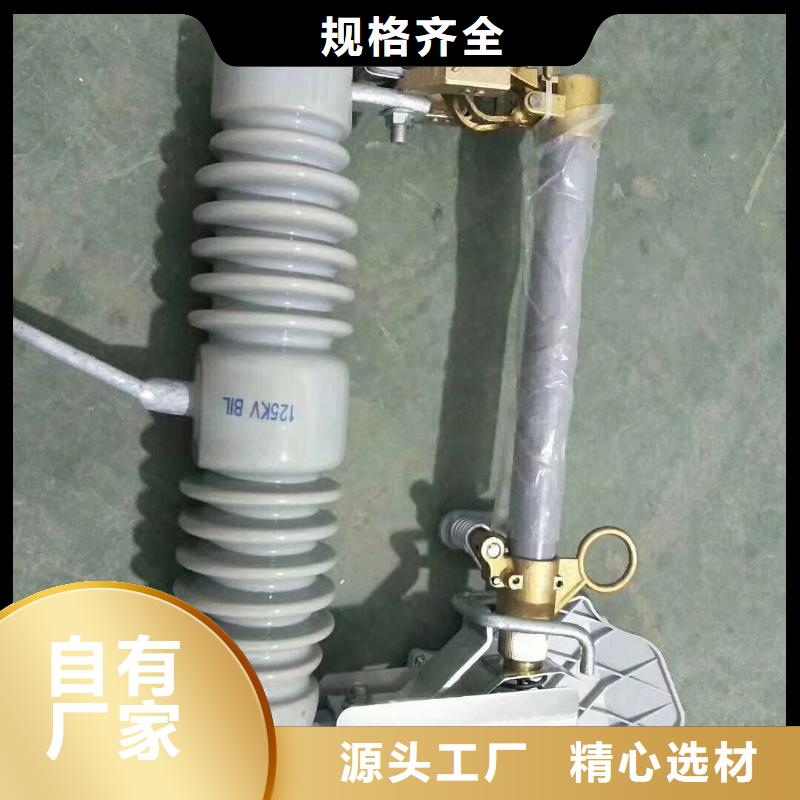 HRW10-10/100A户外高压跌落式熔断器