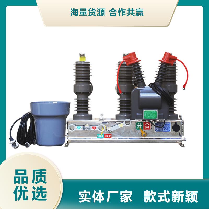 ZN28A-12/630-25分体式系列户内真空断路器