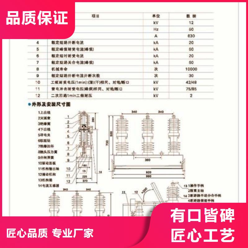 ZW32-40.5/1600-31.5真空断路器