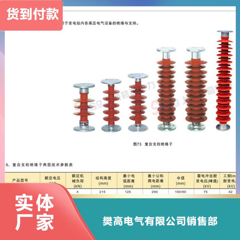 ZSW-40.5/6L绝缘子