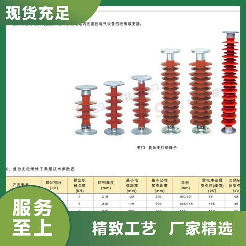 XWP-21绝缘子樊高电气