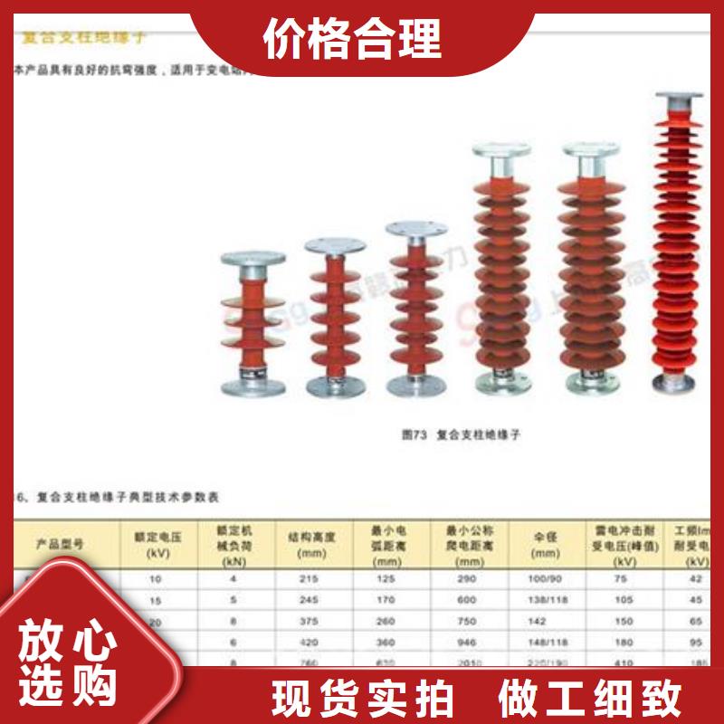 FXBW4-10/70高压绝缘子