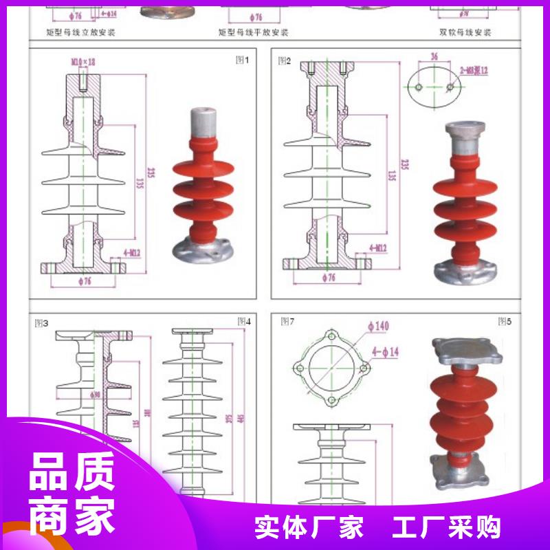 DSN-AMY户内电磁门锁高压带电显示器