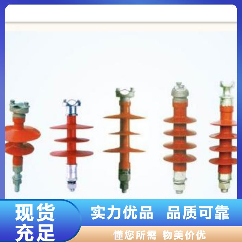 陵水县ZN-10KV/75*130环氧树脂绝缘子优惠