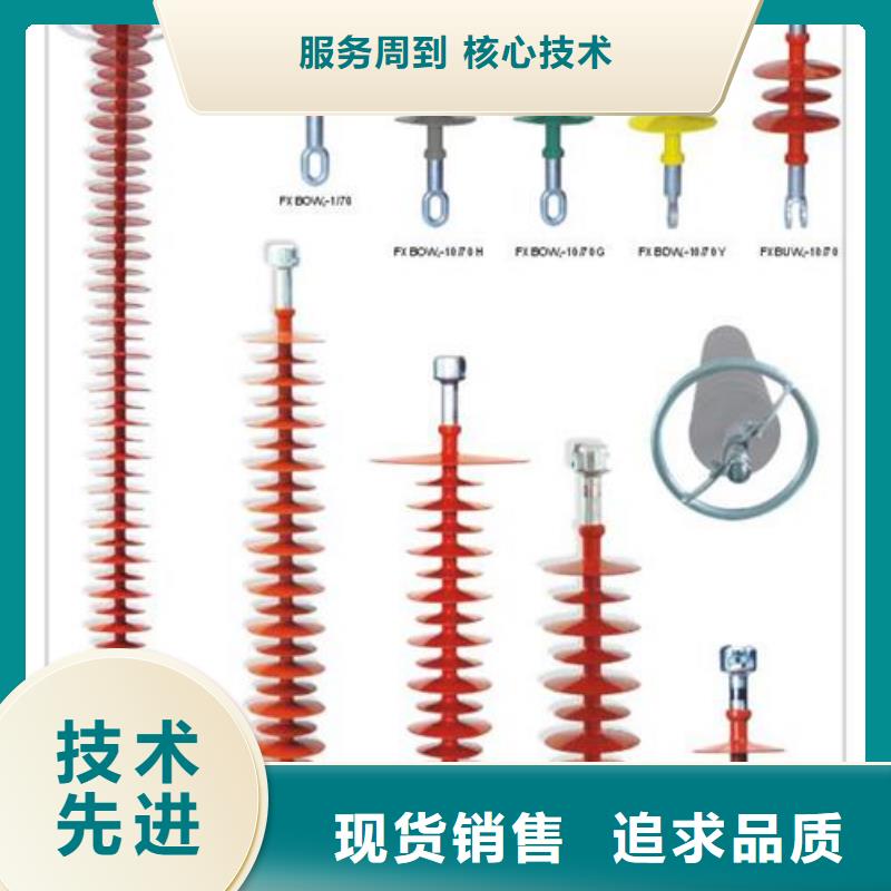 ZN-10KV/75*130绝缘子