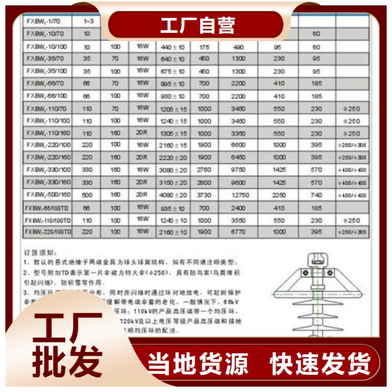 ZJ-10Q/70*130绝缘子