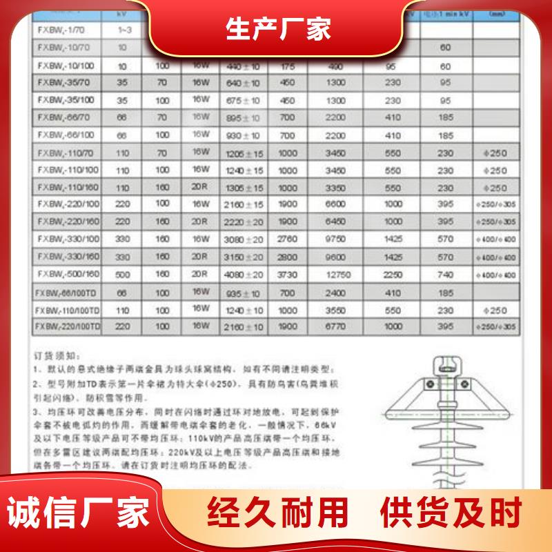 绝缘子氧化锌避雷器产品细节